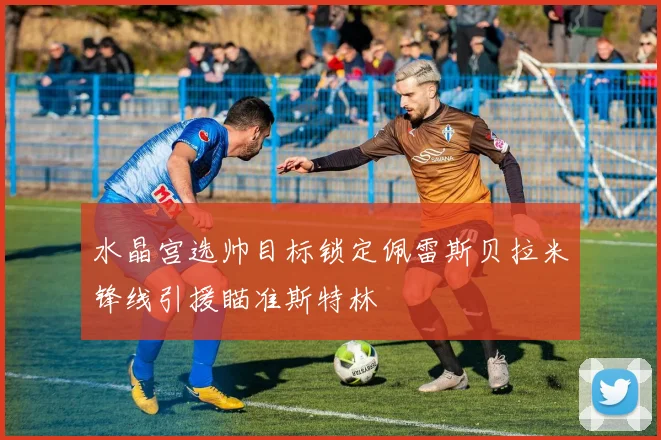 水晶宫选帅目标锁定佩雷斯贝拉米锋线引援瞄准斯特林